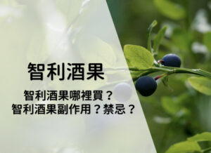 Read more about the article 【2026最新】智利酒果是什麼？5大功效 智利酒果葉黃素搭嗎？