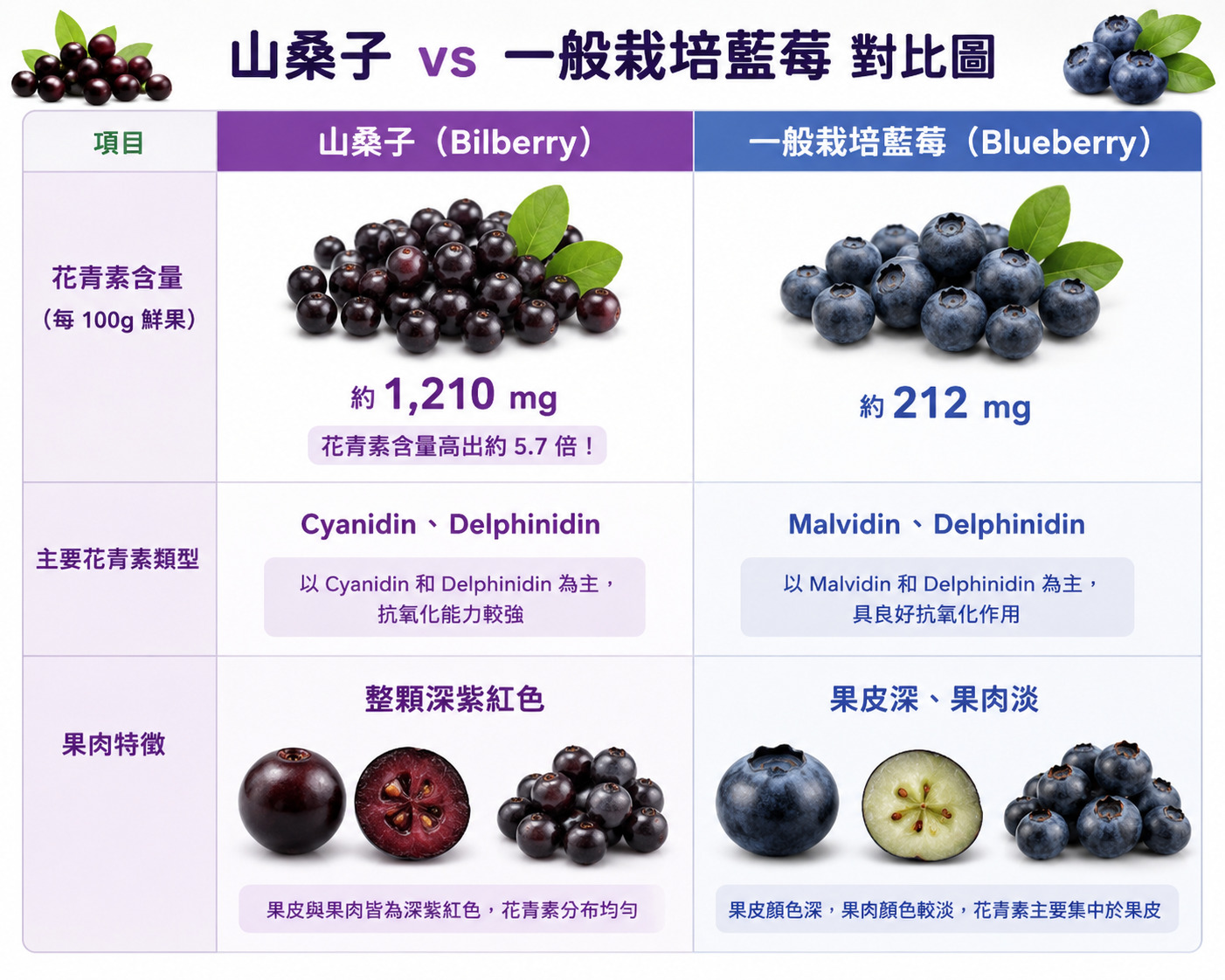 山桑子是什麼?山桑子花青素:抗氧化機制?山桑子 vs 藍莓