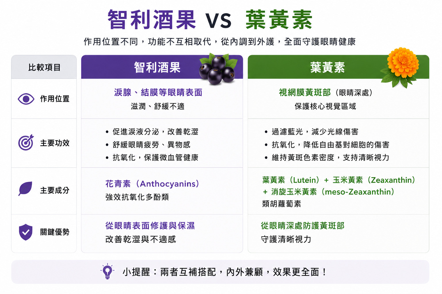 智利酒果 vs 葉黃素:差別在哪?