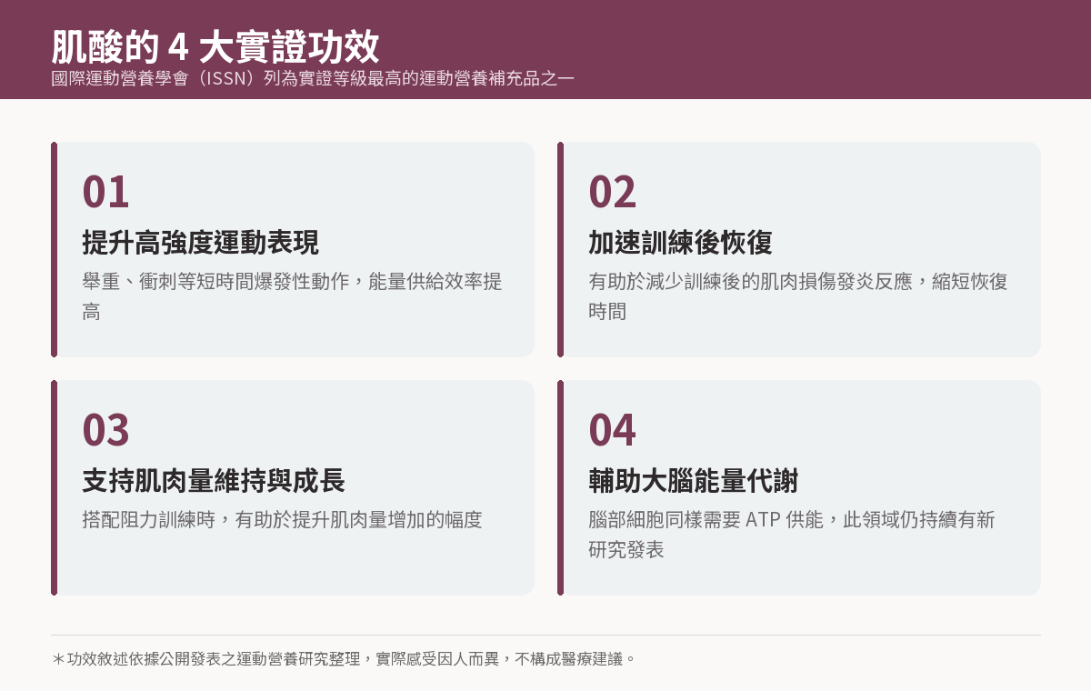 肌酸4大實證功效:提升高強度運動表現、加速訓練後恢復、支持肌肉量維持與成長、輔助大腦能量代謝