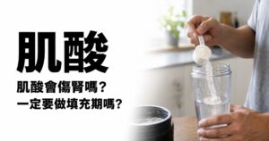 Read more about the article 【2026完整解析】肌酸是什麼？功效、副作用、挑選與熟齡保養一次看懂