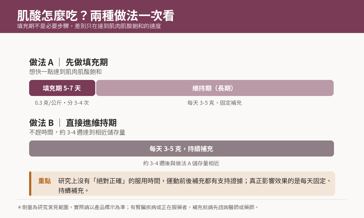 肌酸怎麼吃對照圖:做法A先做5-7天填充期再進維持期,做法B直接每天3-5克持續補充